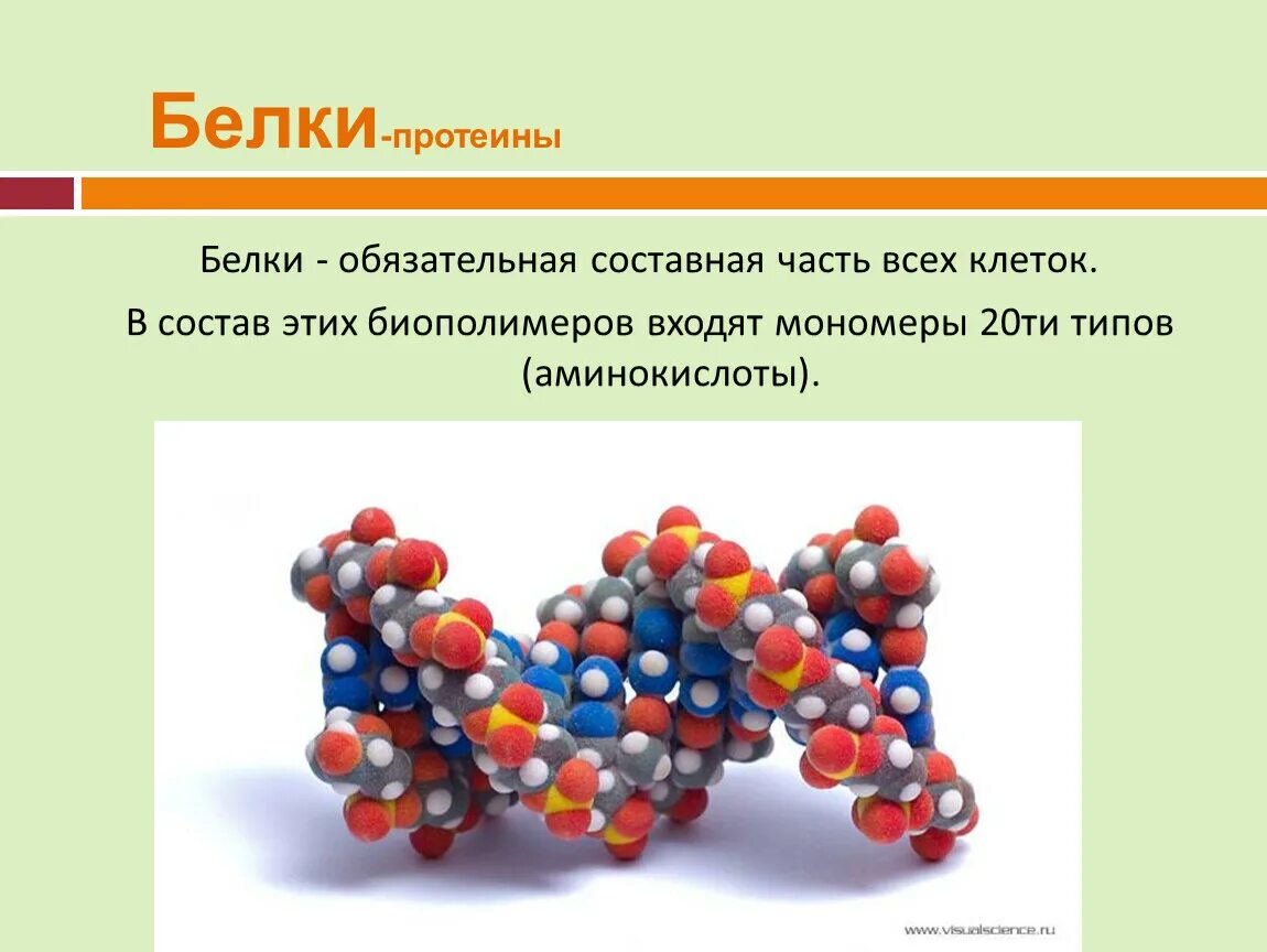 Белки 11 класс биология. Белки презентация. Белки биология. Белки презентация по химии. Белковые соединения.