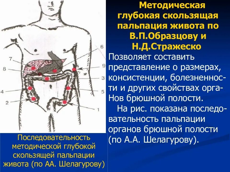 Нормы органов брюшной полости. Метод Образцова-Стражеско пальпация печени. Методика пальпации живота. Последовательность пальпации органов брюшной полости. Глубокая пальпация по Образцову Стражеско.