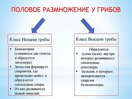 Характеристики низшего класса