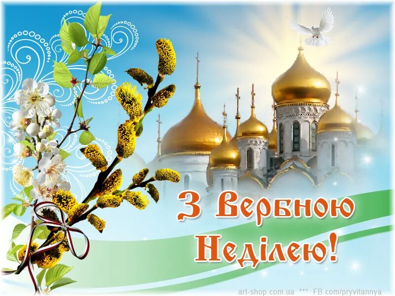 С вербным воскресеньем поздравления на украинском языке. С вербным воскресеньем. з вербною неділею привітання. с вербным воскресеньем открытки. вербное воскресенье картинки.