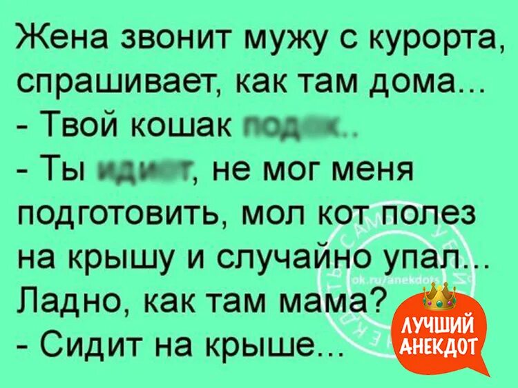 Жена звонит мужу. Жена звонок. Звонок от жены. Позвони жене.