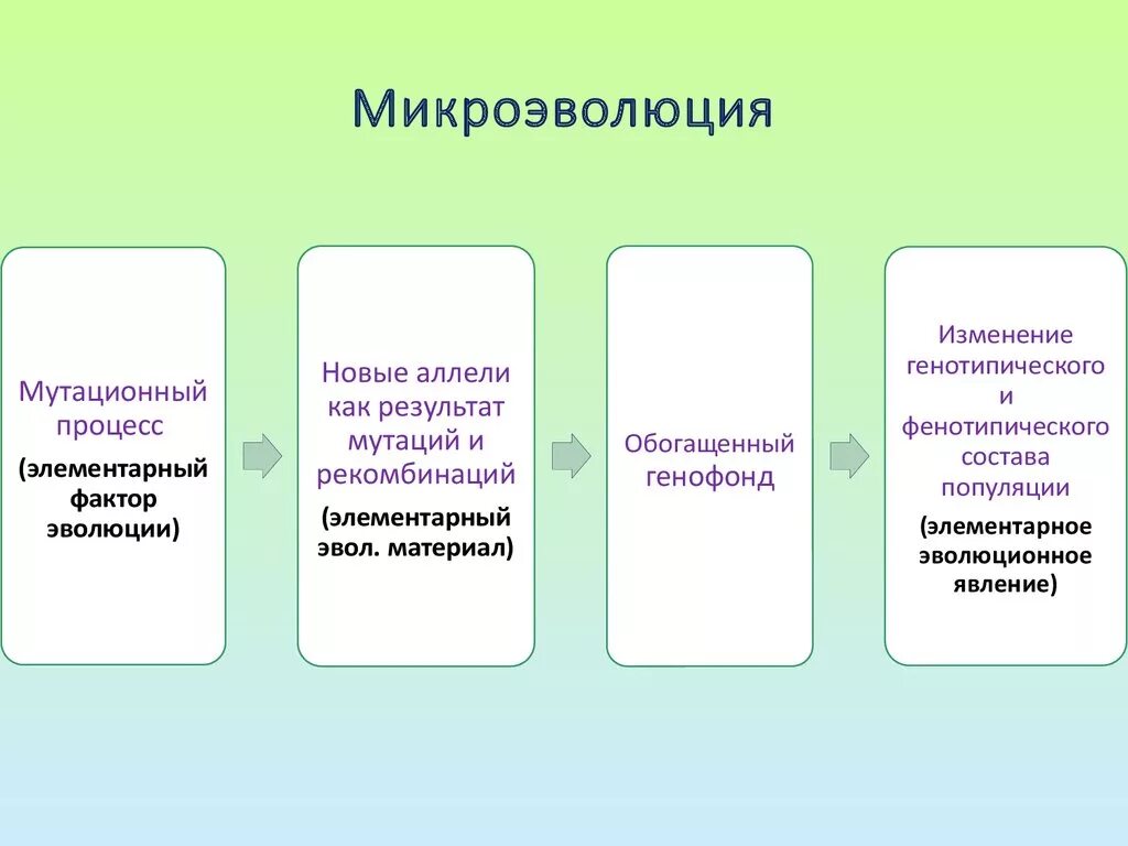 Биологическая микроэволюция. Понятие о микроэволюции. Процессы микроэволюции. Этапы микроэволюции. Структура микроэволюции.