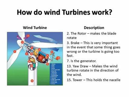 Wind did the