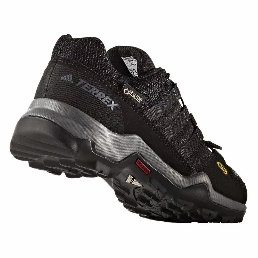 Adidas Terrex GTX. Adidas Terrex 1. Adidas Terrex 255. Адидас Terrex гортекс. Terrex купить кроссовки мужские