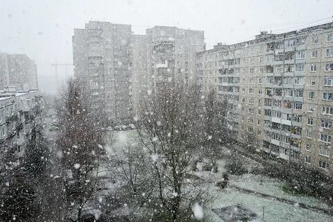Похолодание в калининграде