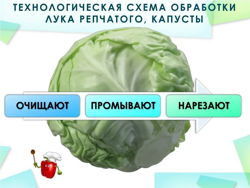 Обработка капустных овощей. Схема обработки репчатого капусты. Схема обработки белокочанной капусты. Первичная обработка капусты схема.