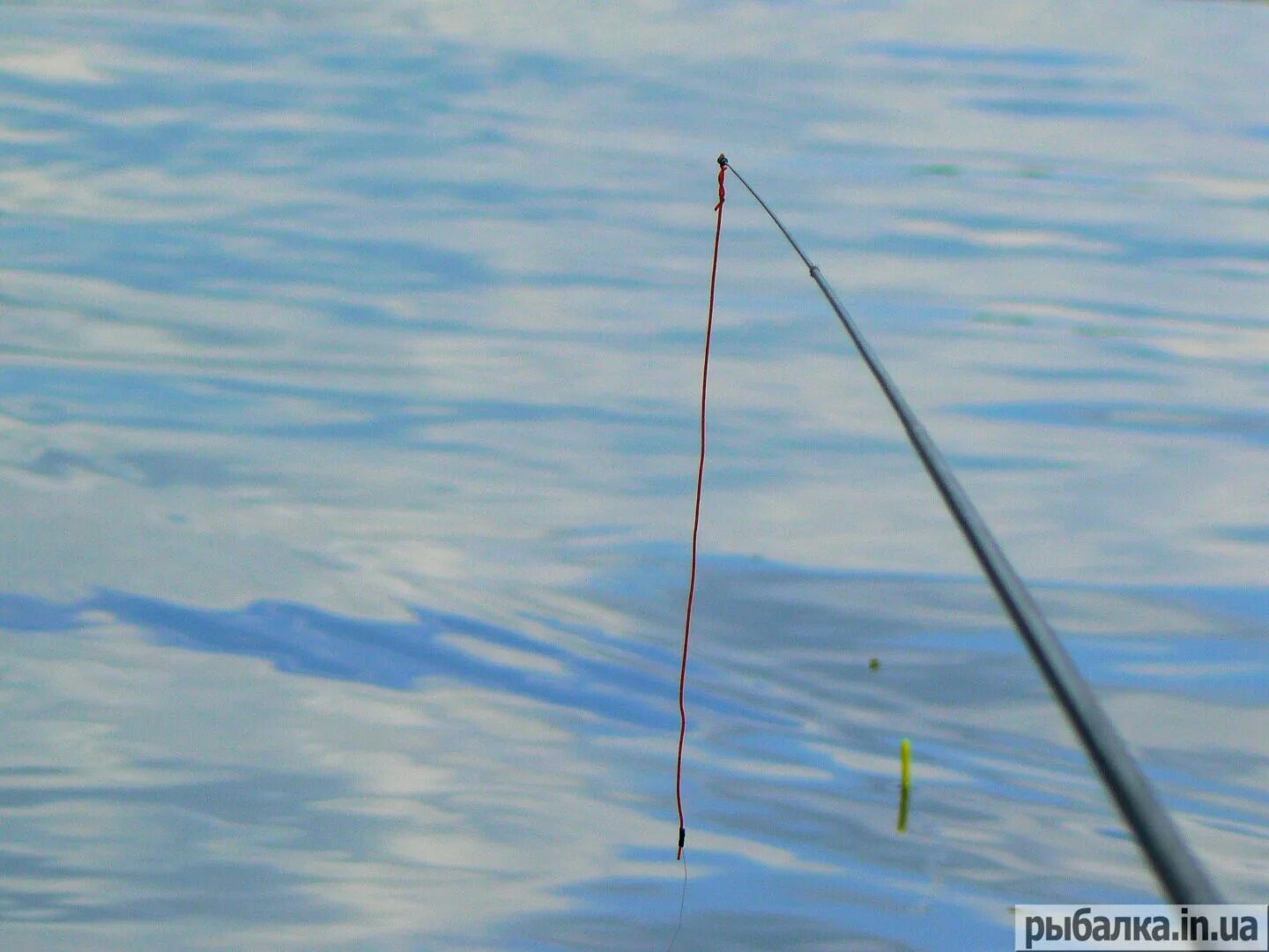 Рыбалка на маховую удочку. Как ловить на маховую удочку. Как ловить на маховую удочку. Оснастка матчевого удилища со скользящим поплавком. Как оснастить удочку скользящим поплавком.
