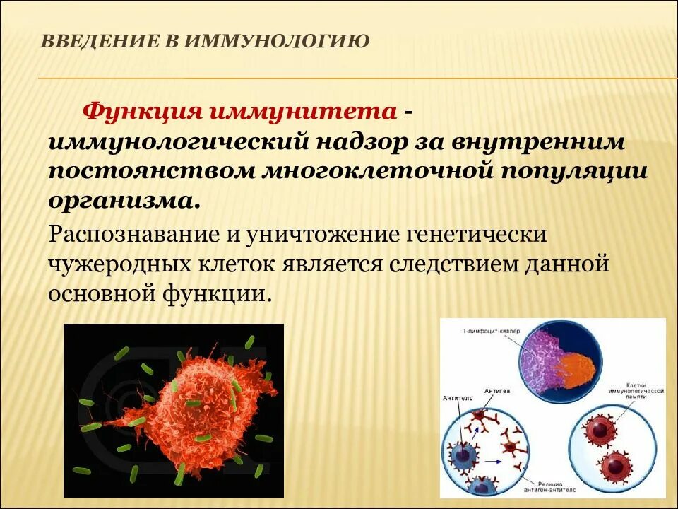 Иммунная температура. Введение в иммунологию. Функции иммунной системы иммунология. Защита клеток организма. Что изучает иммунология это иммунитет?.