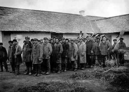 Репрессии 1937 38