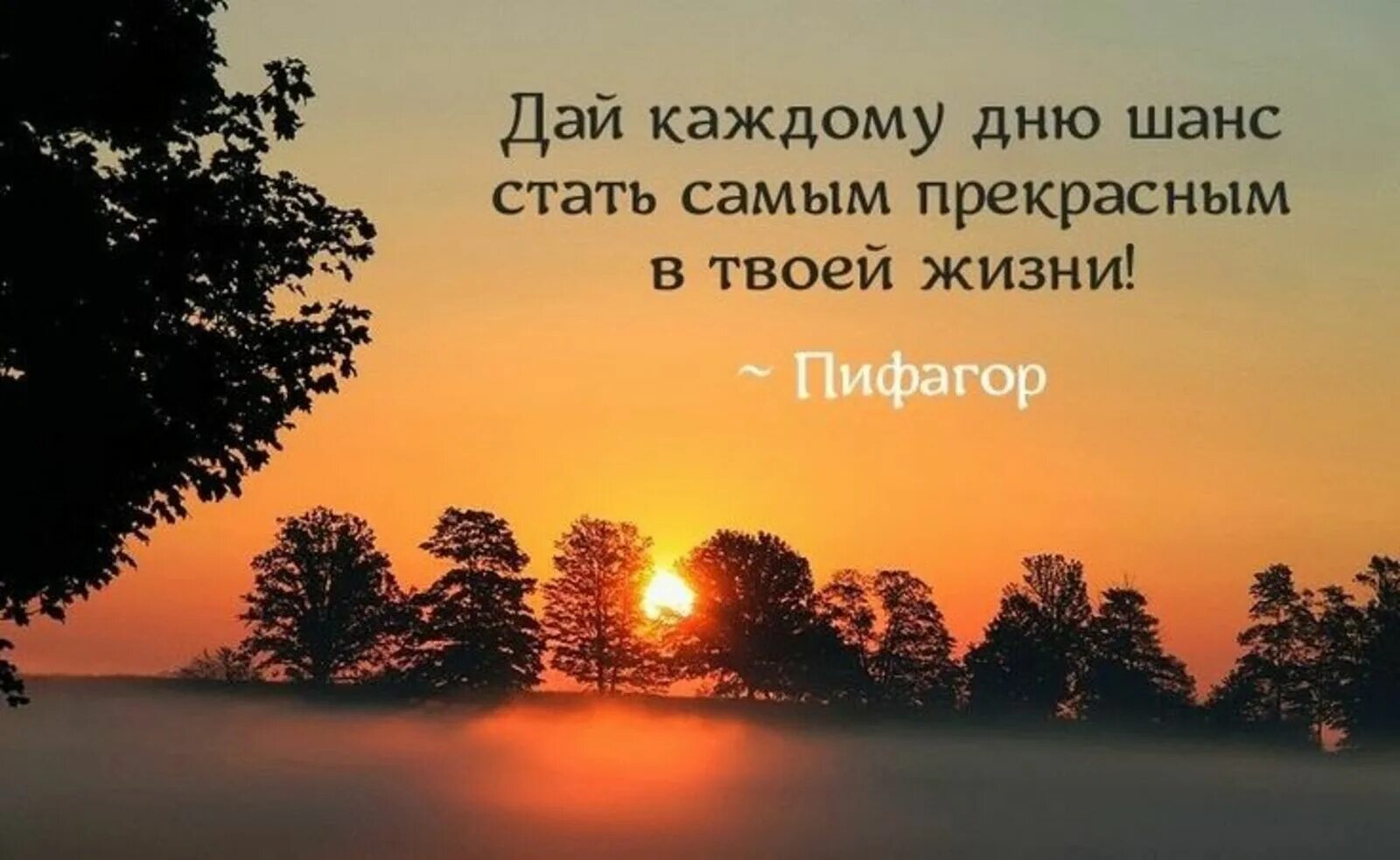 О жизни и новом дне. Цитата дня. Новый день цитаты. Красивые фразы. Красивые высказывания про день.