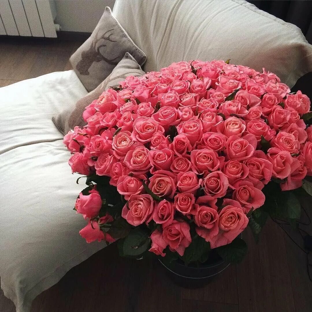 Розы дома
