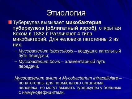 Туберкулез вызывают микобактерии