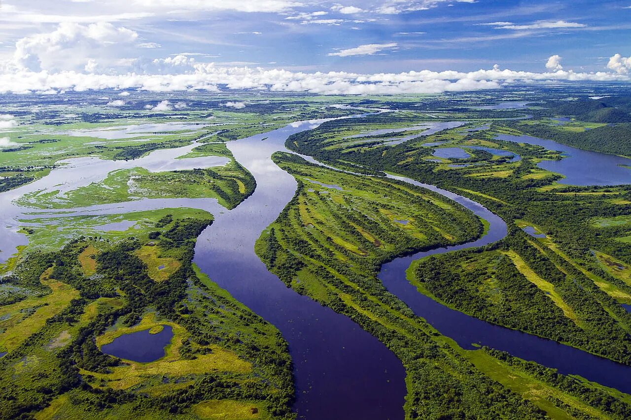 Река на юге страны. Национальный парк Пантанал Бразилия. Болота Пантанал Бразилия. Болотистая впадина Пантанал. Пантанал и Амазонка.