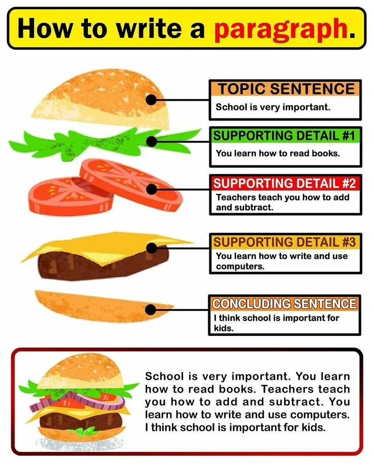 Write a paragraph about an animal. How to write a paragraph. english skills how to write a paragraph. topic sentences worksheet. paragraphs.