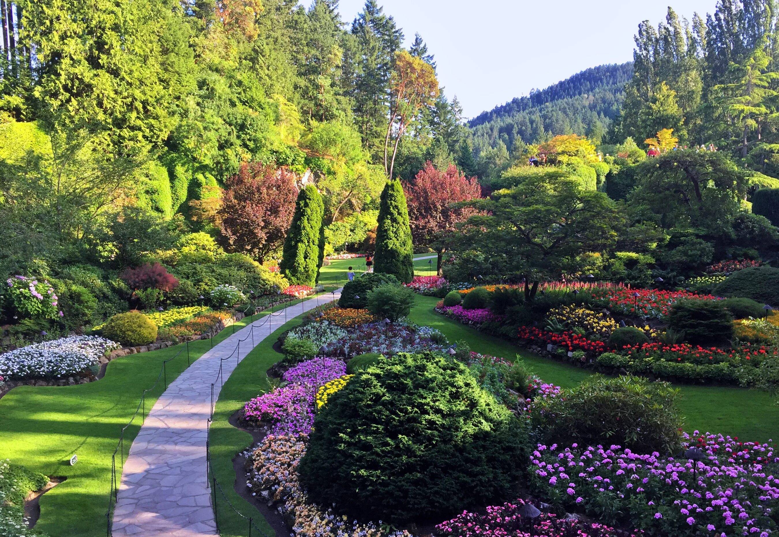 Сады Бутчартов Британская Колумбия Канада. "Сады Бутчартов (the Butchart Gardens) Ванкувер, Канада. Сады Бутчартов в Канаде розарий. Японский сад Бутчартов Канада.