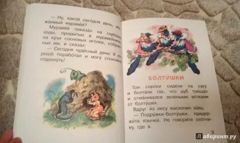 Рассказ осеевой сороки
