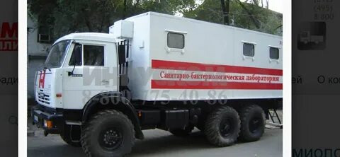 Сэс сургут