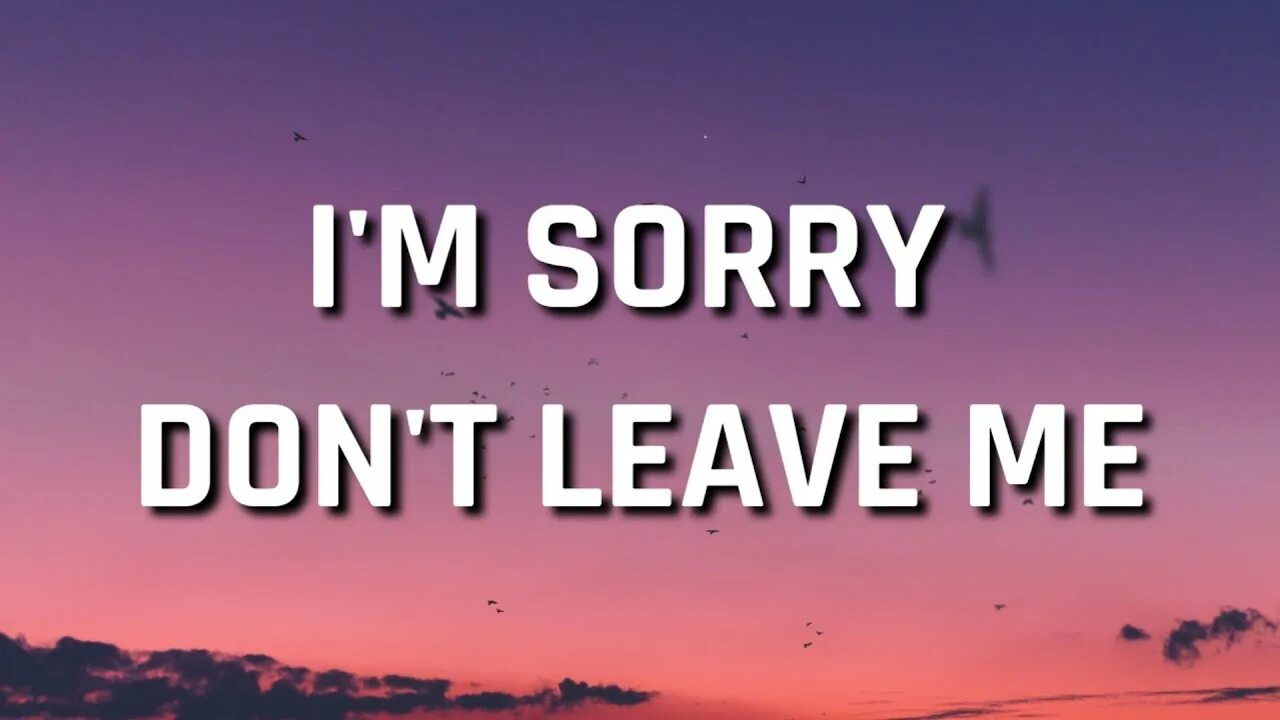 Slander- i am sorry don't leave me. Im sorry don't leave текст. Slander - i’m sorry don’t leave me (Love is gone). I'M sorry don't leave me текст.