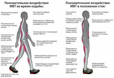 Почему длительное стояние утомительнее ходьбы