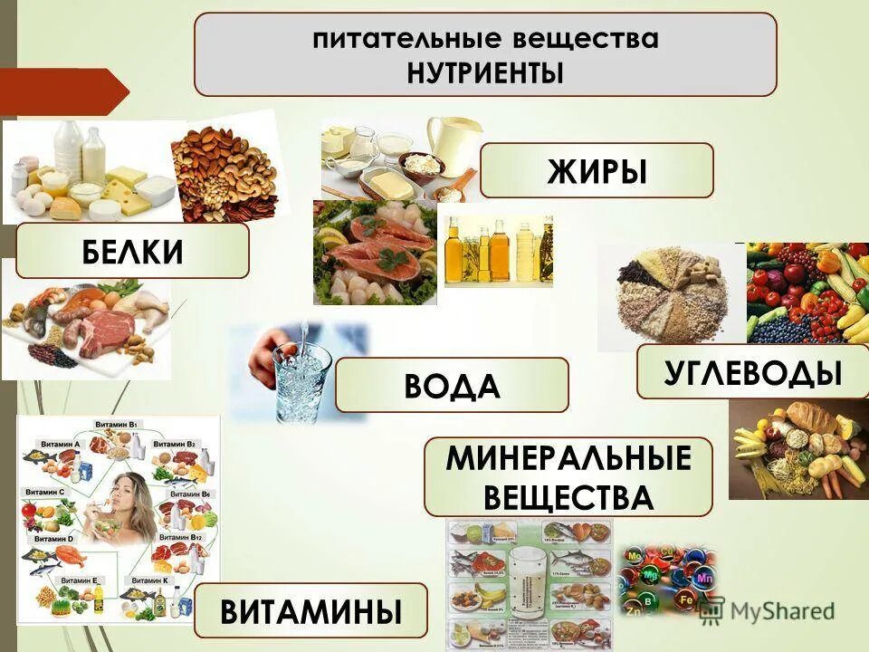 Основные источники белков жиров углеводов. Белки жиры углеводы витамины Минеральные вещества вода. Основные источники белков жиров углеводов и витаминов. Питательные вещества в продуктах питания. Необходимые питательные вещества для организма.