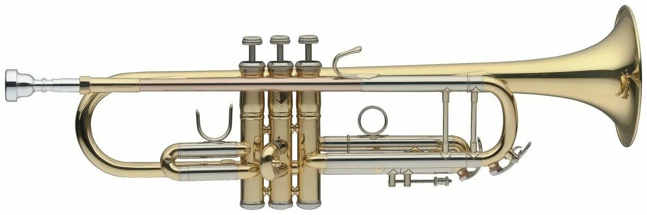 Труба инструмент на английском. Trumpet устройство. Медные духовые инструменты. Деревянные духовые инструменты. Музыкальные инструменты трубы названия.