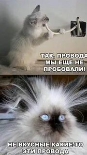 Бесплатные смешные картинки до слез