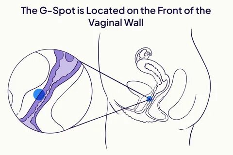 Illustration of the G-spot. 