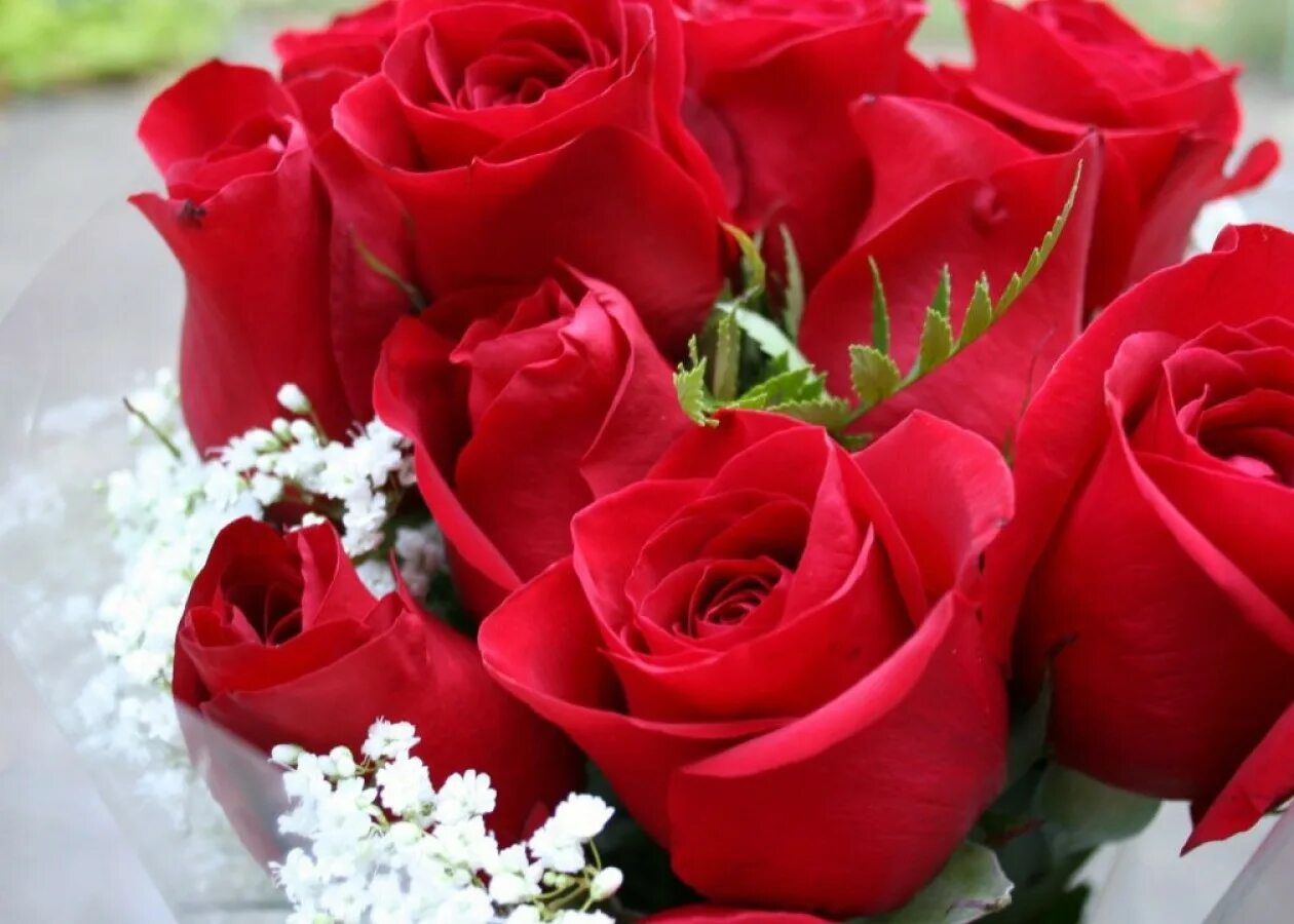 Цвет цветов для любимой женщины. Роскошные цветы. Розы для любимой женщины. Шикарные цветы.