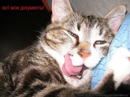 Спать не дает мы поем