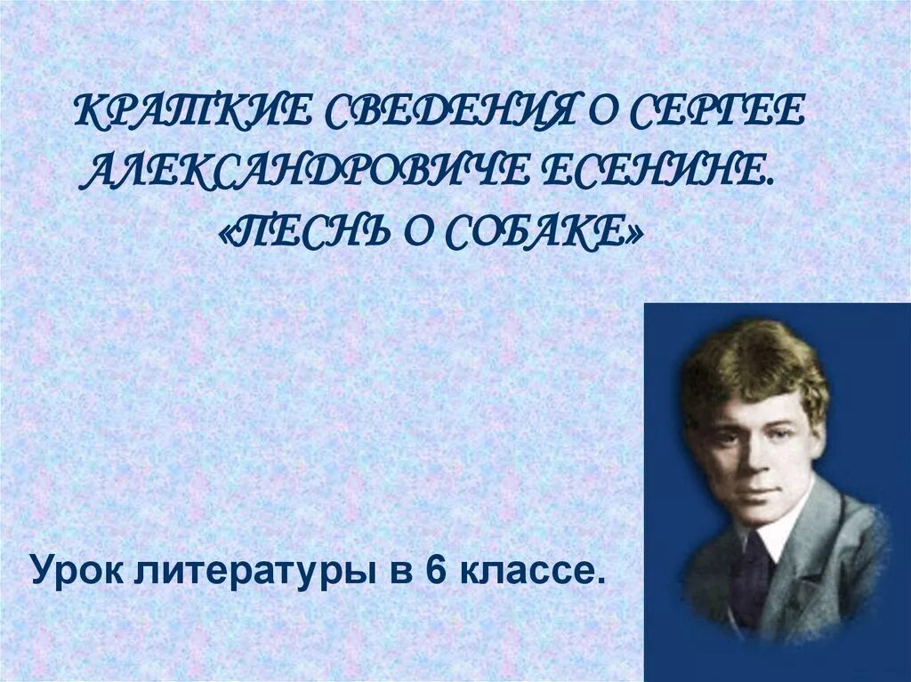 Песня есенин жив. Семерых ОЩЕНИЛА Есенин. Урок литературы. Краткие сведения о Сергее Александровиче Есенине. Песнь о собаке Есенин.