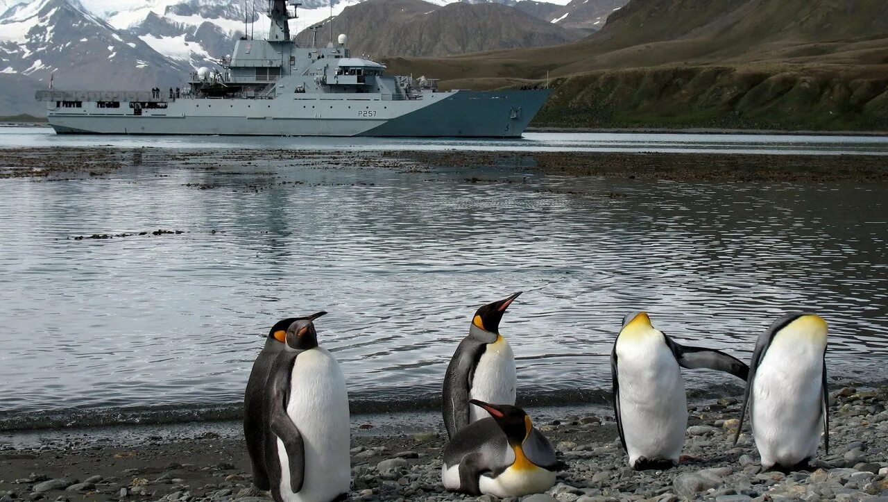 Фолклендские острова конфликт. Фолкленды Альбатрос. Royal Navy 257. Флот мирное время