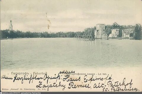 Курская ольгино
