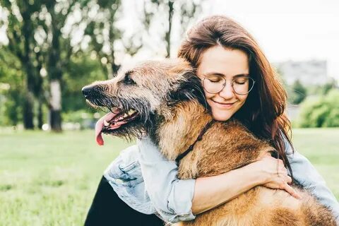 Сонник обнимать собаку