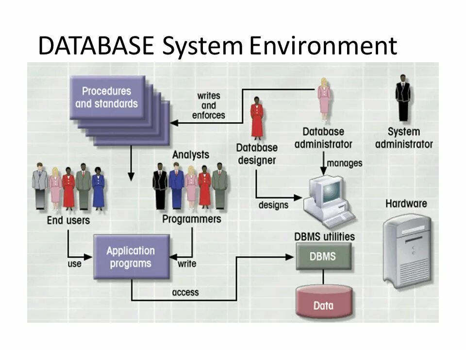 Database Systems презентация. Система базы данных. Базы данных DBMS. Система управления базами данных.