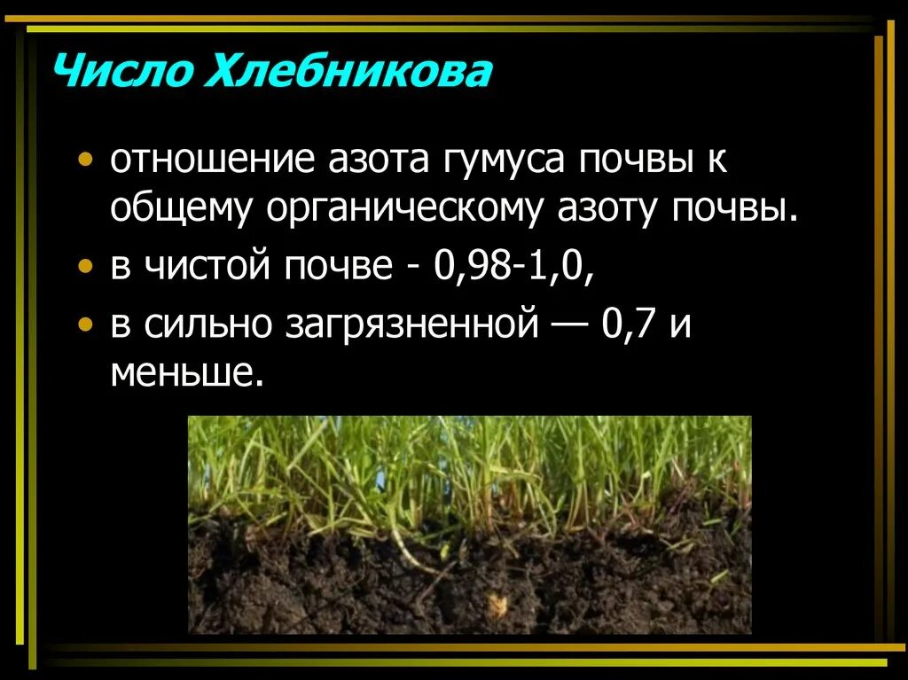 Гумус почвы. Типы почв по содержанию гумуса. Содержание перегноя в почве. Содержание гумуса в почве. Наибольшее содержание гумуса в почве