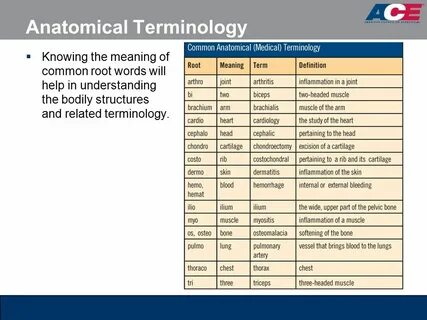 Word terms