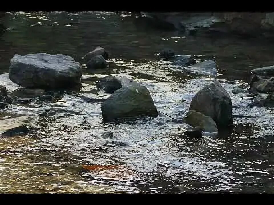Видео с текущей водой. Вода гиф. Видео с текущей водой. Текущая вода. Вода льется.