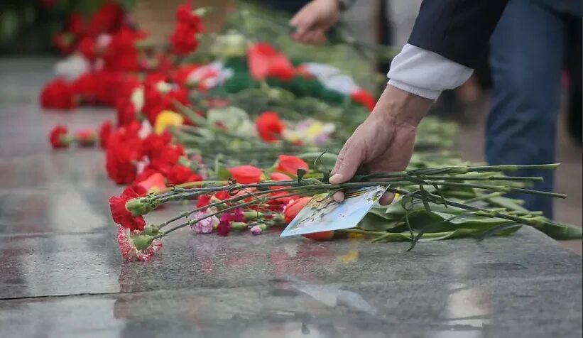 Сколько гвоздик на день победы