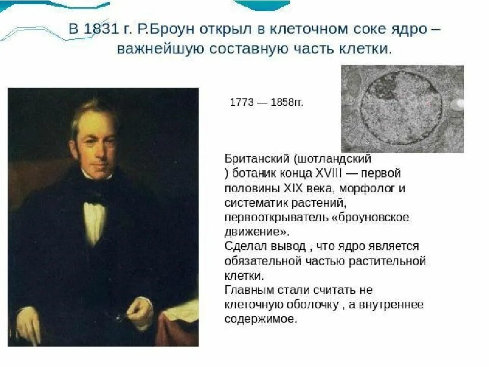 Роберт броун ядро растительной клетки. Роберт броун описал в растительных клетках. Броун ядро клетки. 1831 г. Роберт броун открытие биологические.