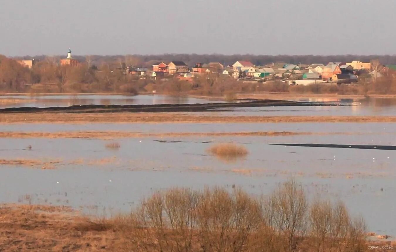 Паводок 2024 рязань на сегодня. Разлив реки в Рязани. Разлив Оки в Рязани 2023. Разлив Оки в Рязани. Половодье в Борках Рязань.