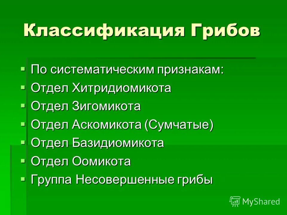 вопросы по систематике