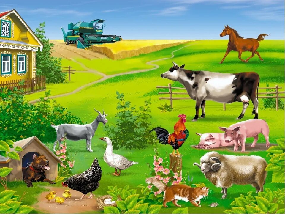 Ушинский играющие собаки. Домашние животные. Домашние животные. Чтение по теме домашние животные. Домашние животныерасскраска.