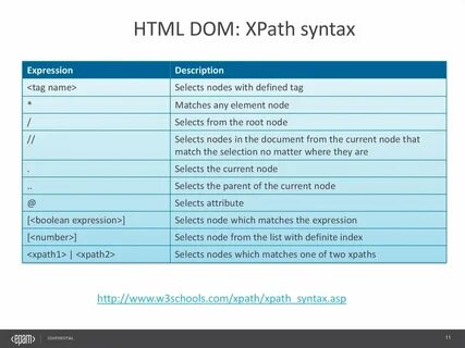 Xpath примеры