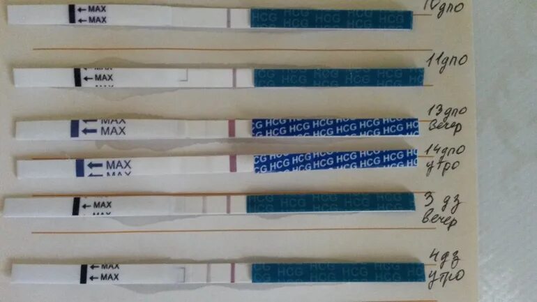 Тест показал беременность на 10 день задержки. Тест до задержки ДПО. Тесты по дням задержки. Тест на беременность при цикле 28 дней. Тесты на беременность по дням после овуляции при 28 дневном цикле.