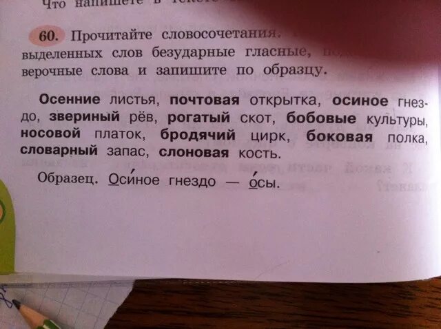 Проверочные слова. Какое проверочное слово к слову. Помогать проверочное слово проверочное. Бродячий проверочное слово.