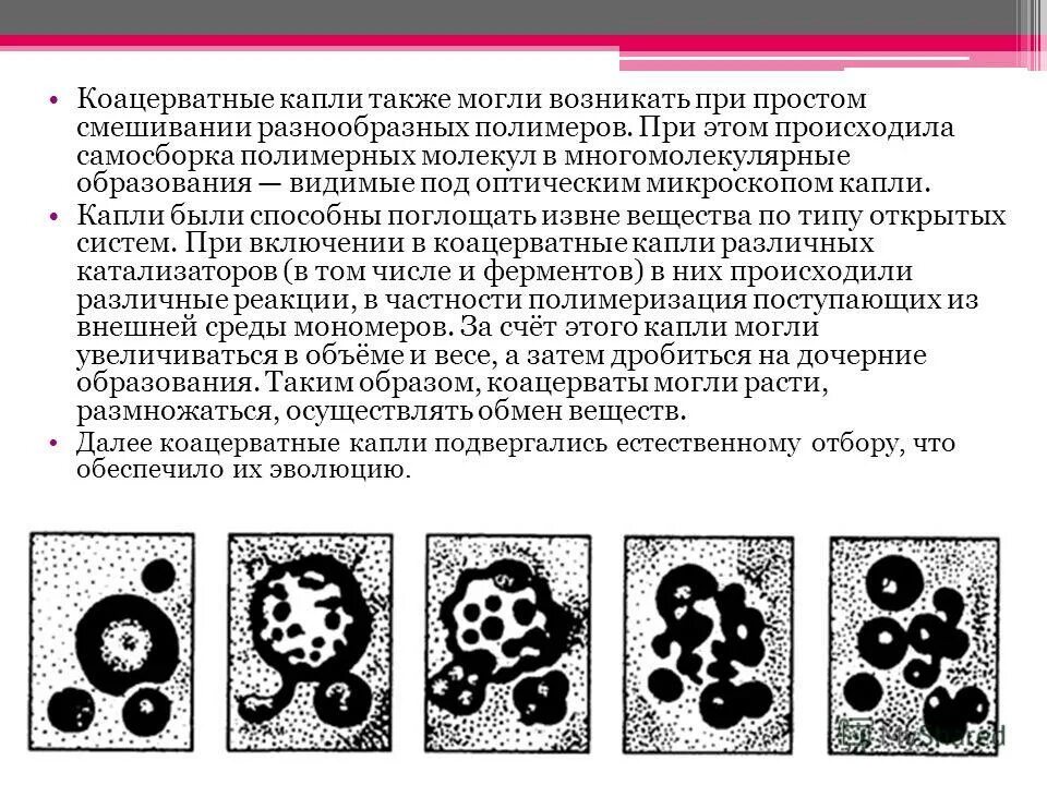 Образуют видимой формой