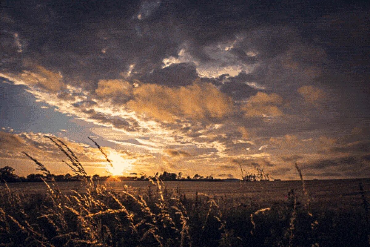 Вечернее небо. Природа вечер. Ночная степь. Пшеничное поле на рассвете.