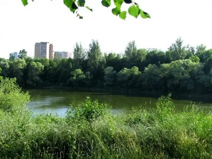Индекс г воскресенск