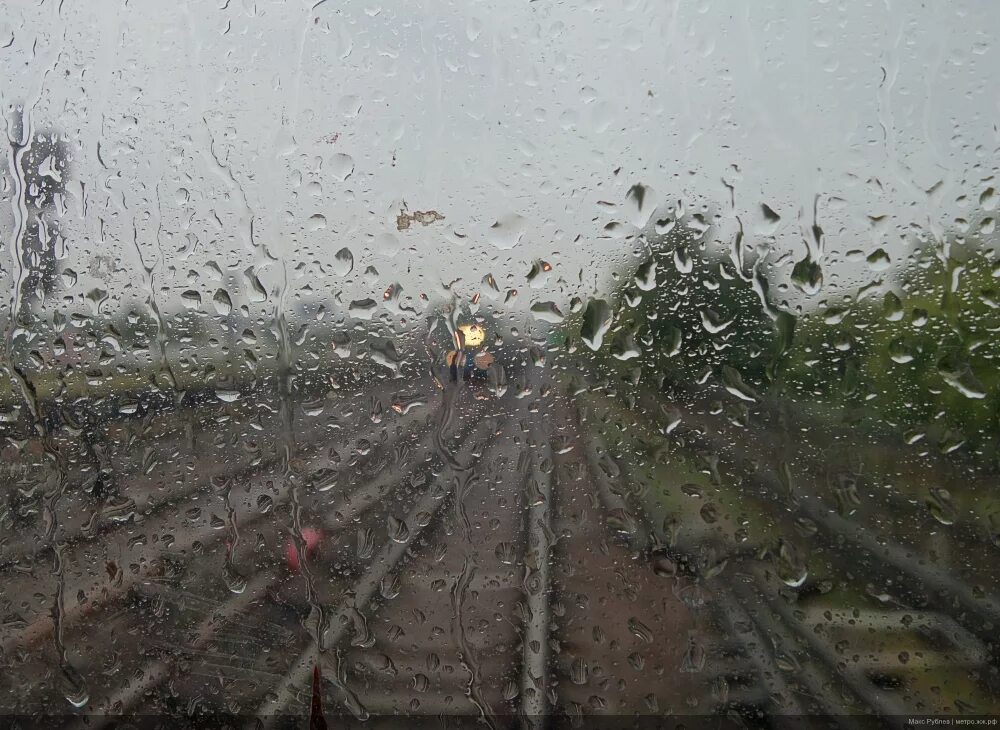 Будет дождь идти будет расти. Будет дождь идти будет расти. Дождь и растения. Будет дождь идти будет расти. Июль дождь.