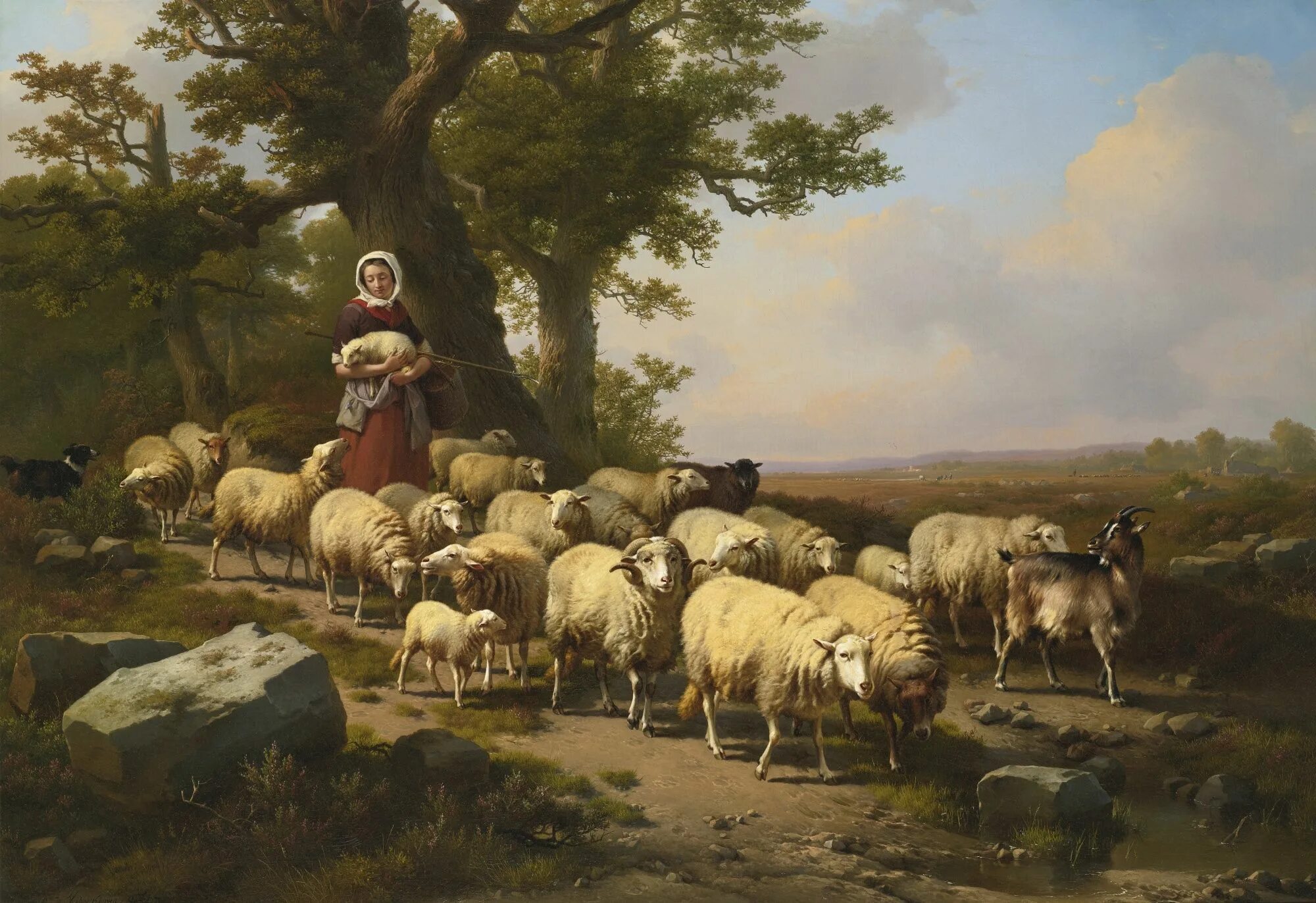 Пастухи гонят стадо. Эжен Жозеф Вербукховен. Вербукховен Эжен Жозеф художник. Овцеводство в Англии 16 век.